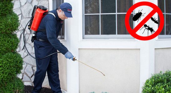 Dulkadiroğlu Dezenfeksiyon böcek ilaçlama ve haşere kontrolü — ilaclama-tr.com